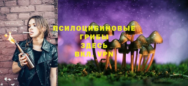 ПСИЛОЦИБИНОВЫЕ ГРИБЫ Армянск