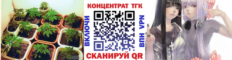 ТГК гашишное масло купить наркотики сайты Сатка