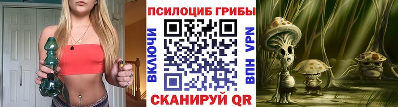 Псилоцибиновые грибы GOLDEN TEACHER  Сатка 